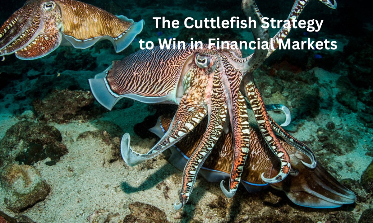 Financial Market compared to a cuttlefish image. 2 cuttlefish under the sea floating on a dark colored stone, where they can also blend the same color as their surroundings.