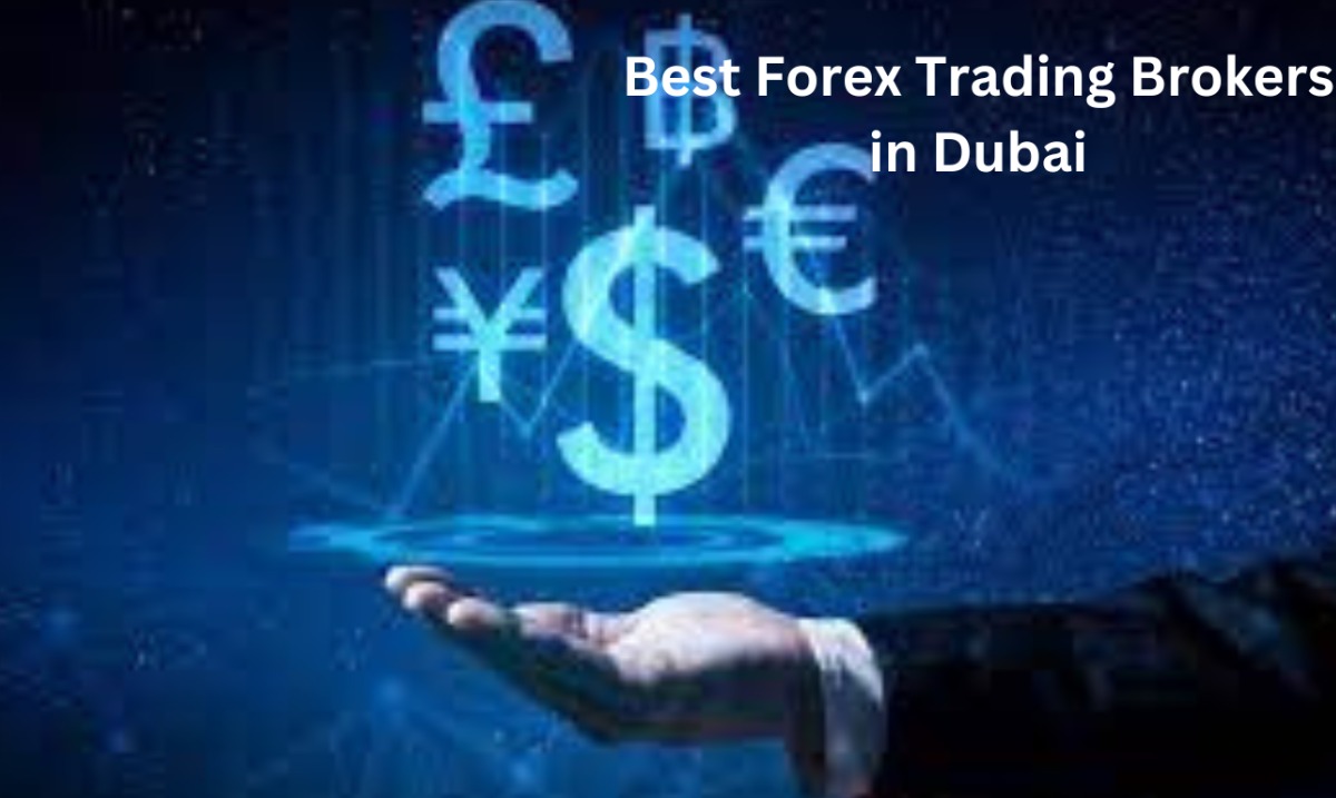 Best Forex Trading Brokers