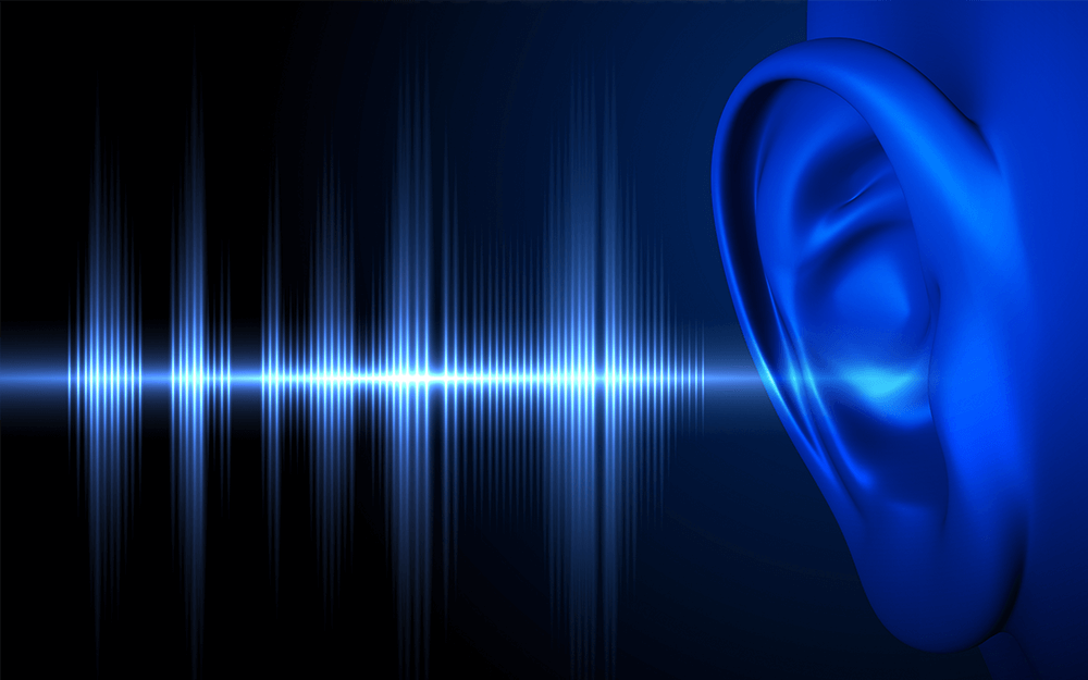 An ear accepting sound which travels in waves, producing decibels.